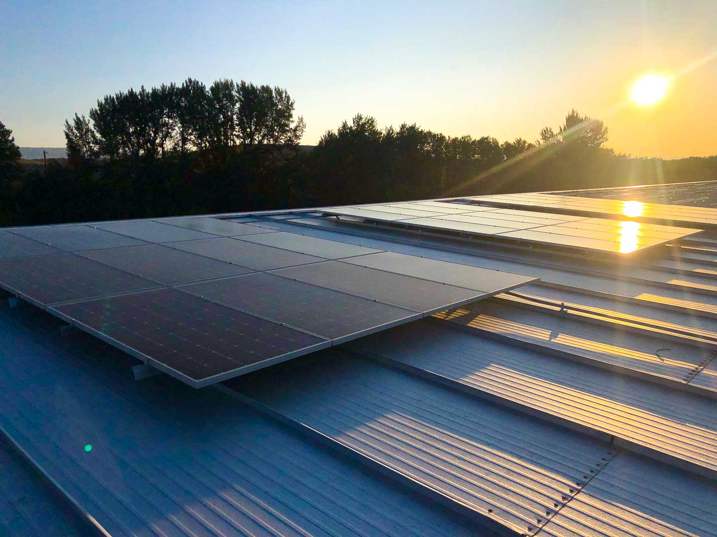 Solar panels lit up by the morning Washington state sun